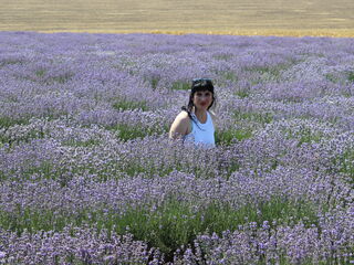 extreme webcam AvroraFlower