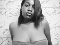 teaser webcam VineFlame